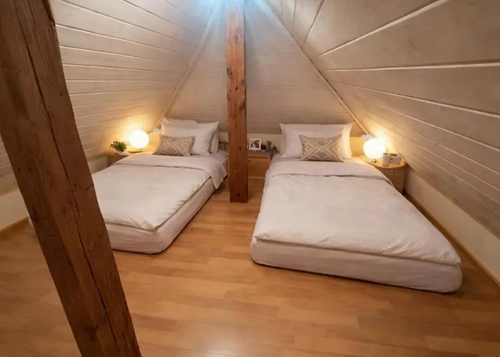 Apartment Charming Attic Duplex In *