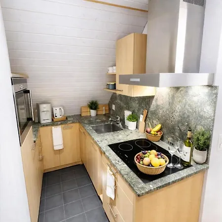 公寓 Charming Attic Duplex In *