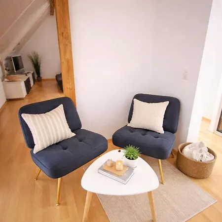 Charming Attic Duplex In 伯尔尼