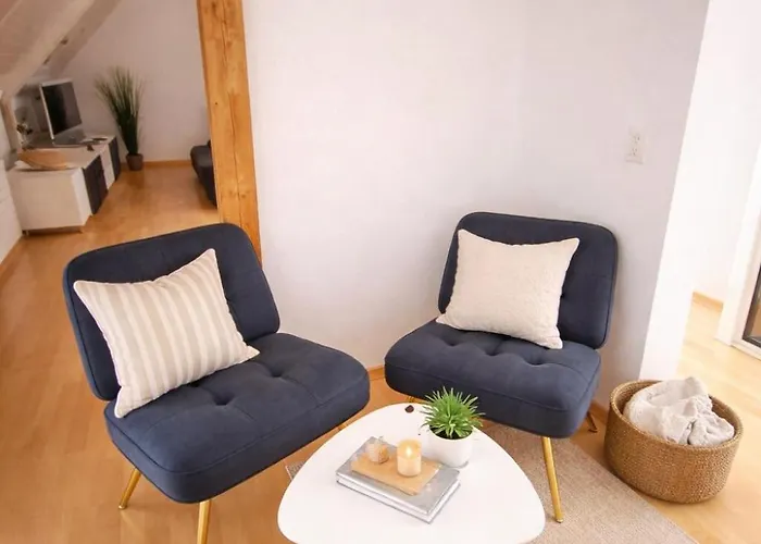 Charming Attic Duplex In 伯尔尼